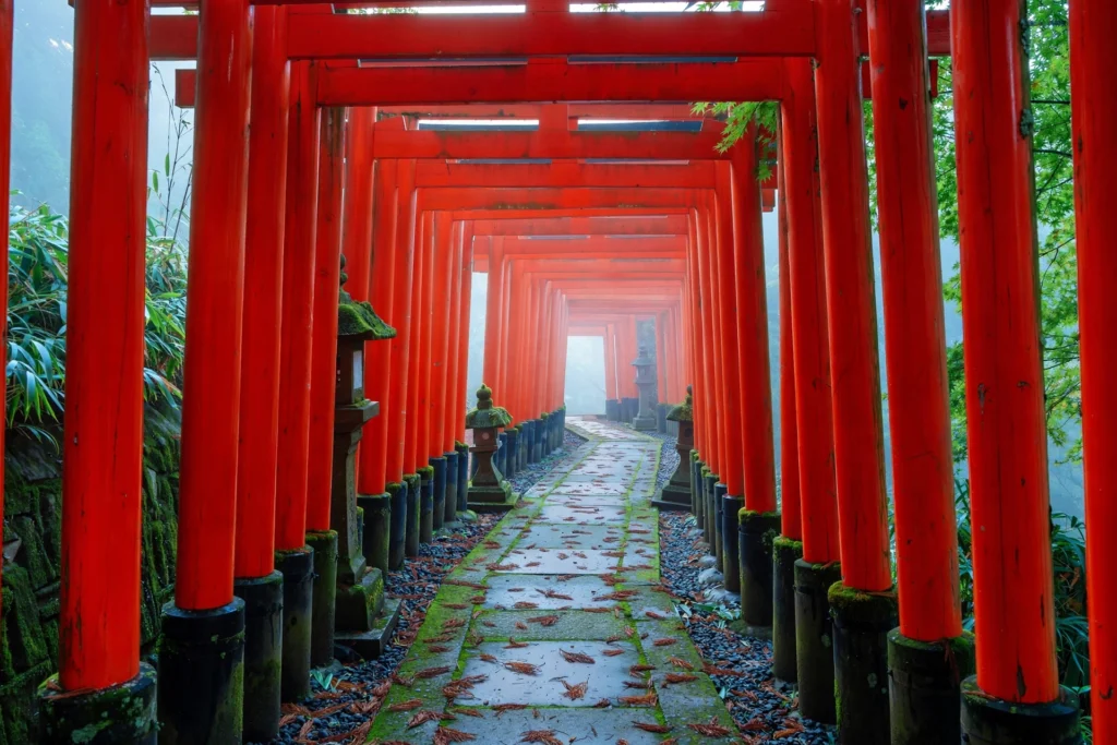 Vermilion torii gates at Fushimi Inari Shrine in Kyoto at dawn.
