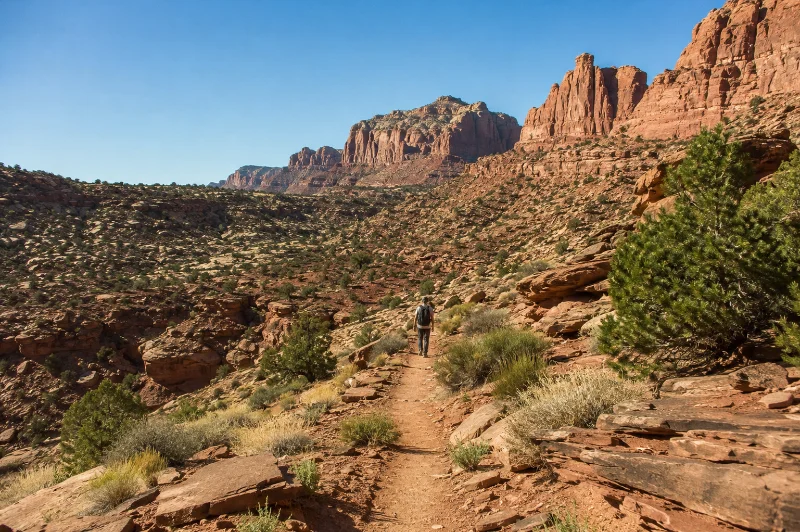 best cities to visit in usa desert scenery near Las Vegas