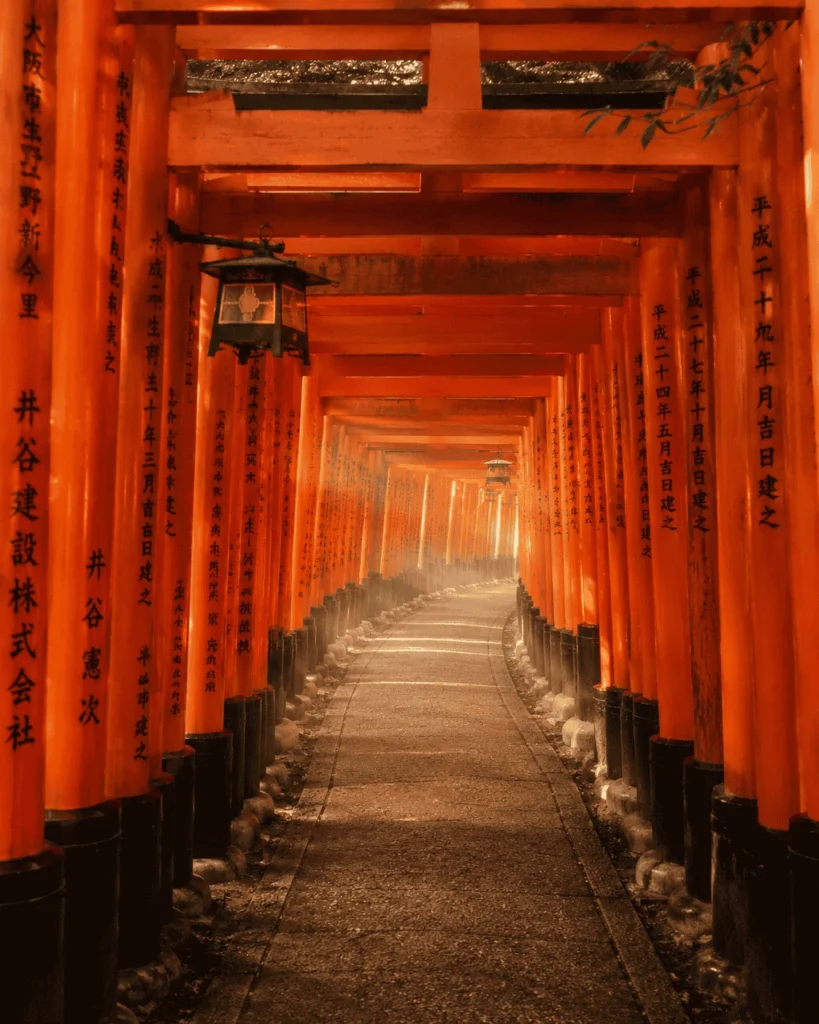 Rows of orange torii gates at Fushimi Inari Taisha in Kyoto at sunrise