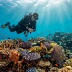 Diver exploring a coral reef at one of the best places to scuba dive
