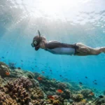 Snorkeler exploring a coral reef at one of the best places to snorkel in the USA