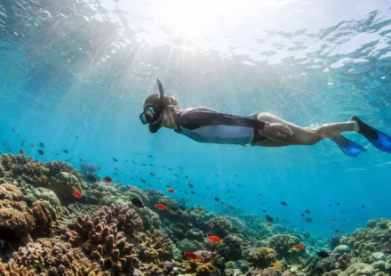 Snorkeler exploring a coral reef at one of the best places to snorkel in the USA