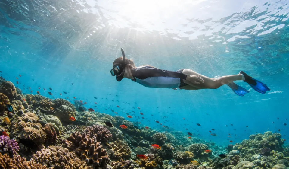 Snorkeler exploring a coral reef at one of the best places to snorkel in the USA