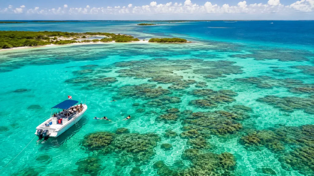 Coral reef in the Florida Keys, one of the best places to snorkel in the USA