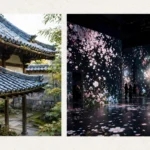 Best museums in Tokyo: Tokyo National Museum, teamLab Planets and Ghibli Museum.