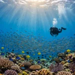 Scuba diver swimming over a coral reef at one of the best places to scuba dive