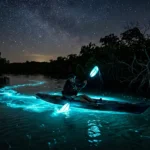 person kayaking through water showing bioluminescence at night