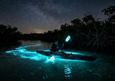 person kayaking through water showing bioluminescence at night