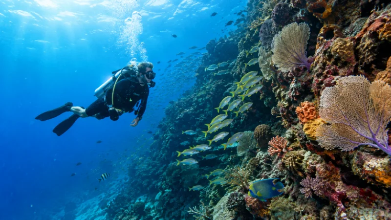 Scuba diver exploring a coral reef in the Bay Islands, a top thing to do in Honduras