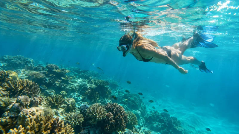 Turks and Caicos Travel Updates for 2026 2 Snorkeler over a protected reef reflecting Turks and Caicos travel updates on marine rules
