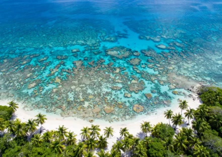 Aerial view of Roatán beach and coral reef, Bay Islands, Honduras.