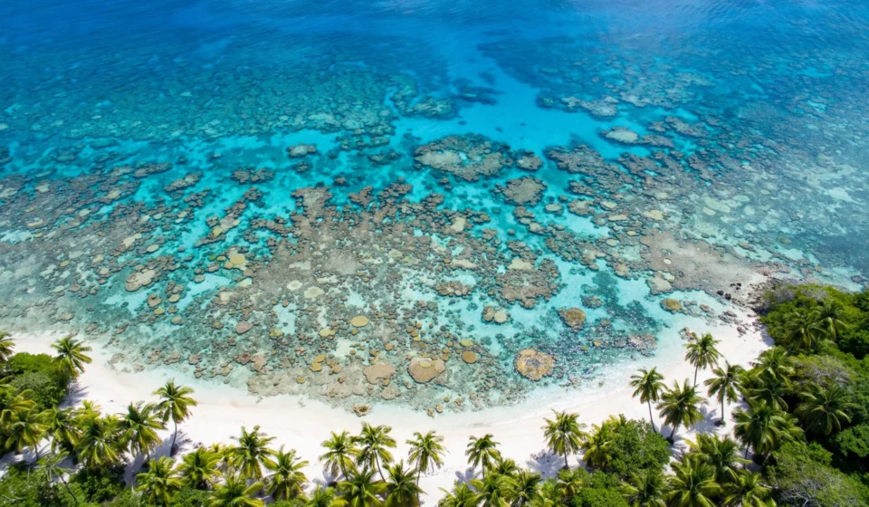 Aerial view of Roatán beach and coral reef, Bay Islands, Honduras.
