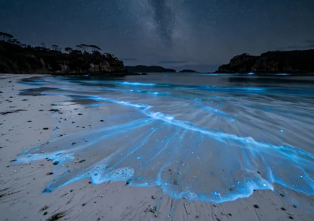 Glowing blue bioluminescent waves on a white sand beach in Jervis Bay, one of the best places to see bioluminescence in Australia