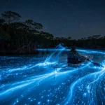 best places to see bioluminescence in usa featured 1