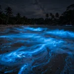 Bioluminescent waves glowing electric blue on a beach at night.
