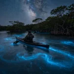 A kayaker paddling through glowing blue water in Mosquito Bay, one of the most famous bioluminescent bays in Puerto Rico